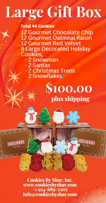 Holiday Gifting : Large Gift Box